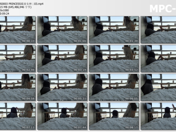 BLNS0003 韩国PRINCESS霸凌女神第2季_第0003部